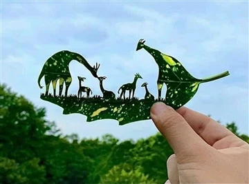 8 kiểu tiêu chuẩn của bao FIBC số lượng lớn với những ưu điểm